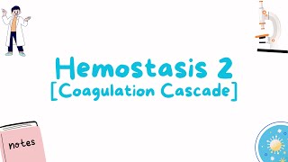 Hematology  Hemostasis Coagulation Cascade [upl. by Eelta]