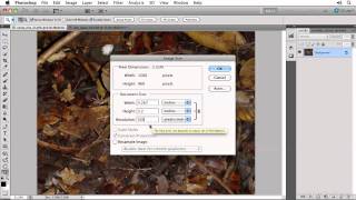 Photoshop CS5 Image Size and Resolution and Resizing an Image [upl. by Maison]