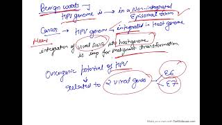 Oncogenic DNA Virus  Human Papilloma virus HPV [upl. by Enirod]