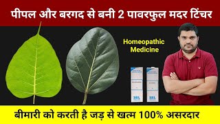 Homeopathic mother tincture made from peepal and banyan leaves [upl. by Emor]