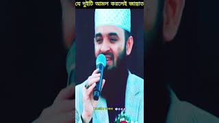 যে দুইটি আমল করলেই জান্নাত। মিযানুর রাহমান আজহারি। muslim voice [upl. by Novahc]