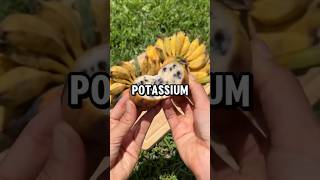 Potassium fruit potassium fruit shorts healthcaretips motivation facts [upl. by Booma]