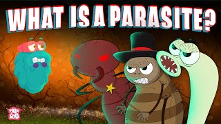 PARASITE  What Is A PARASITE  Biology For Kids  The Dr Binocs Show  Peekaboo Kidz [upl. by Yahska]