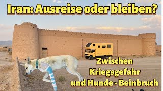 Iran Ausreisen oder bleiben Zwischen Kriegsgefahr und Hunde Beinbruch [upl. by Dadelos640]