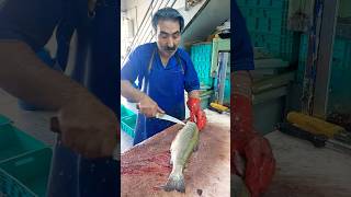 How to fillet a trout for frying fishcutting [upl. by Estis377]