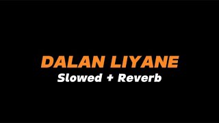 DALAN LIYANE  Slowed  Reverb Full Lirik [upl. by Beaston]