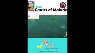 Causes of Malaria part 2 I Biology  Biology penacademy malarialifecycle malaria [upl. by Vicky]