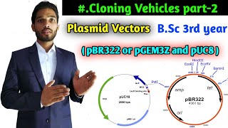 What is Plasmid vectors  pBR322 plasmid vector  pUC8 plasmid vector  BSc 3rd year zoology [upl. by Shuma]