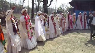 Holi Of Sudur paschim Nepal [upl. by Ruy]