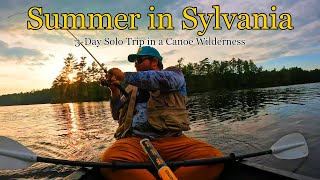 Summer in Sylvania 3Day Solo Trip in a Canoe Wilderness [upl. by Barcot]