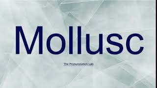 Mollusc Pronunciation How to Say Mollusc  Are You Saying It Right [upl. by Llenrod885]