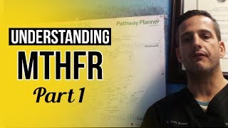 Understanding MTHFR and Methylation Lesson 1 [upl. by Morton]