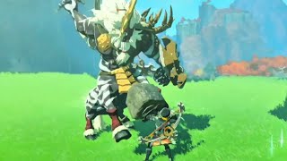 NO Cheesing Lynel Fight  How to Beat Silver Lynel Zelda Tears Of the kingdom [upl. by Stein435]