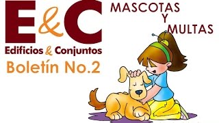 Edificios y Conjunto Multas y tenencia de mascotas  Boletín No 2 [upl. by Trent]