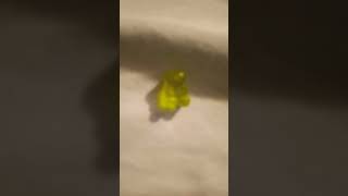 MOOVIN GROOVIN GUMMY BEAR OH YEAH comedyvideos OHYESIMMAGUMMYBEAR [upl. by Vizzone]