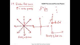 Plus two Physics Ch 1 Electric Charges amp Fields  Electric Field Lines [upl. by Naenej]