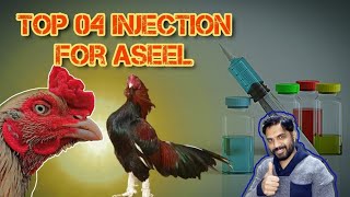 Aseel murga Top 04 Injection [upl. by Currier]