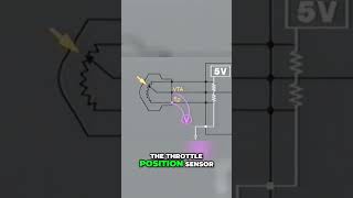 Throttle Position Sensor Voltage Issues Explained [upl. by Linkoski]