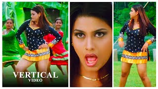 Rakshitha  Pambara Kannu  Vertical Video  Madurey  Info  UHD  Black  Actress Version [upl. by Ordnagela859]