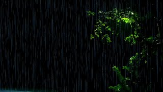 Fall Asleep Fast in 3 minutes with Gentle Rain Sounds Study Insomnia Relaxation Meditation [upl. by Trstram653]