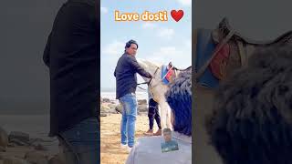 Dosti asi honi chaiye ❤️ l Love you dosti ❤️❤️love 🤝 [upl. by Newob]