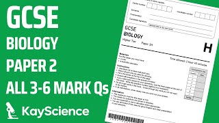 GCSE Biology Paper 2  5 Homeostasis amp Response  Exam Questions amp Answers Revision 36 mark Qs [upl. by Tychon82]