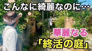 【植物を無くしたい】終活に向けて今この庭がとんでもない事になってます 【カーメン君】【井上さん】【ガーデニング】【初心者】 [upl. by Oludoet]