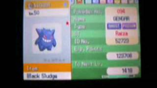 I have a Racist Gengar [upl. by Osrick241]