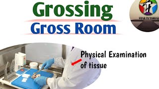 Grossing And Gross Room ll Histopathology in Hindi [upl. by Nueoht902]