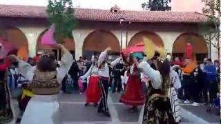 Folk show in Tirana by Albania Holidays [upl. by Beaulieu]