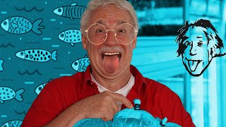 Aquarium Fisch Unboxing  Professor Roland Numrich packt aus 👨‍🔬 [upl. by Aiciram]