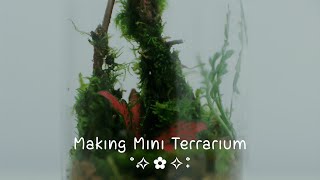 Making Mini Terrarium In A Jar [upl. by Rufena455]