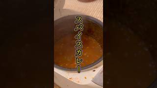 本格スパイスカレーの作り方料理 お酒 飯テロ [upl. by Torbart]