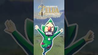 Tingle is in breath of the wild zeldanintendo nintendogame nintendo shorts link [upl. by Legnalos]