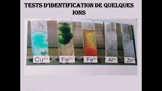 Test didentification de quelques ions [upl. by Cave465]