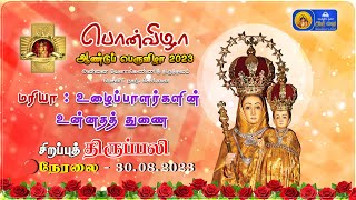 🔴 LIVE  Annual Feast Special Mass Day  2 30th August 2023  Besant Nagar Annai [upl. by Lynette]