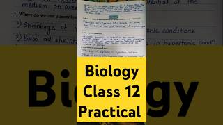 Class 12 Biology Practical A 14 class12 hsc biology practical shortsfeedshortsvideoshorts [upl. by Raychel]