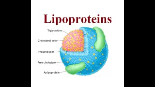 Lipoproteins structure and functions  2024 [upl. by Yenal]