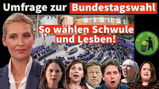 UmfrageBundestag So wählen Lesben und Schwule [upl. by Eigriv775]