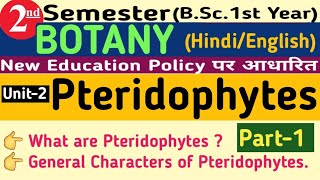 2nd Semester PteridophytesGeneral Characteristics of PteridophytesPteridophytes General Characters [upl. by Ecad105]