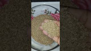 వాము ప్రయోజనాలుhealth benefits of ajwaincarom seeds trendingonshorts lalluvlogs [upl. by Rustice]