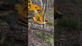 TreeDigging didingmachine treedidingmachine treedidingvideo HeavyMachinery TreeRemoval [upl. by Akeemahs]