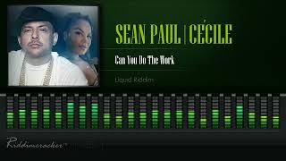 Sean Paul amp CeCile  Can You Do The Work Liquid Riddim HD [upl. by Anaejer]