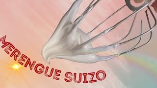 merengue suizo [upl. by Ssecnirp]