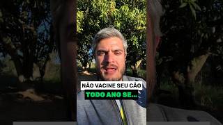 COMO CUIDAR DO CACHORRO HOJE DA FORMA CERTA PARA O CÃO NÃO FICAR SEMPRE DOENTE E COM COCEIRA [upl. by Santiago]