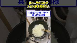 【2ch面白いスレ】美味しいカレー作るんや！→10分炒めても玉ねぎが真っ白の模様www [upl. by Mauceri896]