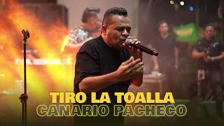 Tiro La Toalla  Canario Pacheco  En Vivo [upl. by Hanser740]