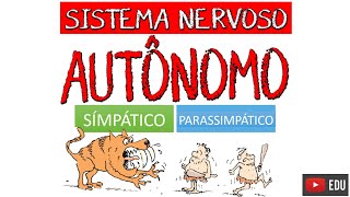 SISTEMA NERVOSO AUTÔNOMO Simpático e Parassimpático Video Aula  Neuroanatomia com Rogério Souza [upl. by Seely844]