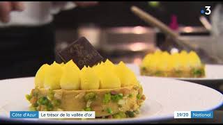 La Tarte Mimosa de LOasis dans le Journal TV National  de France 3 [upl. by Mapel460]