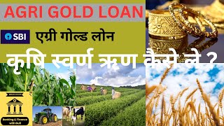 SBI Agri Gold Loan  Krishi Gold Loan  Krishi Swarn Loan full details  कृषि स्वर्ण ऋण [upl. by Dnalhsa]